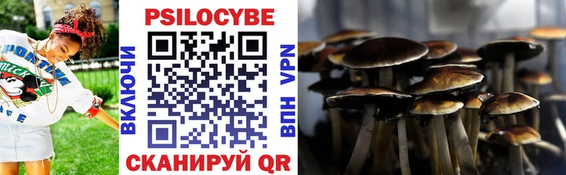 Псилоцибиновые грибы GOLDEN TEACHER  Купить где  Лянтор 